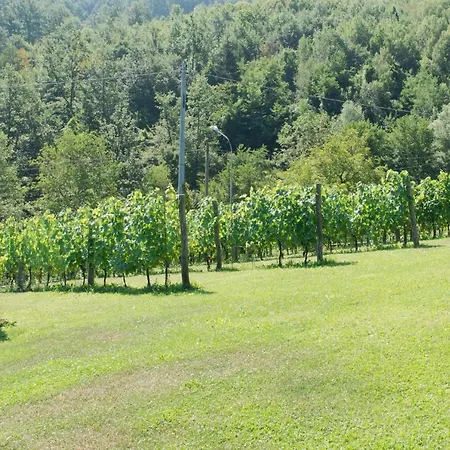 La Provenzale 3* Tornolo