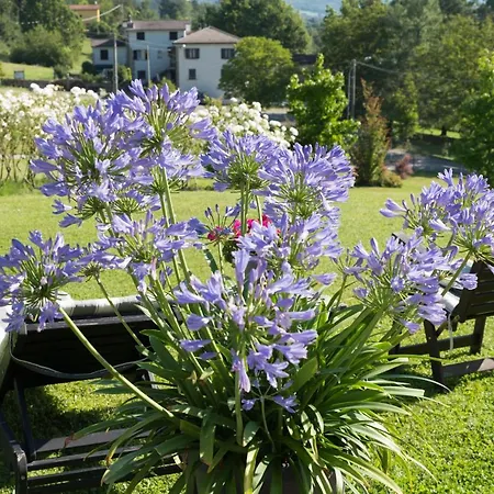 La Provenzale 3* Tornolo