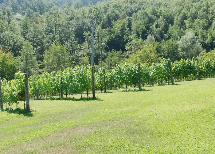 La Provenzale 3* Tornolo