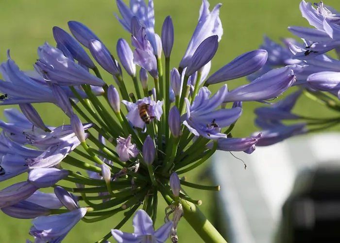 ベッド・アンド・ブレックファスト La Provenzale