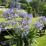 La Provenzale 3* Tornolo