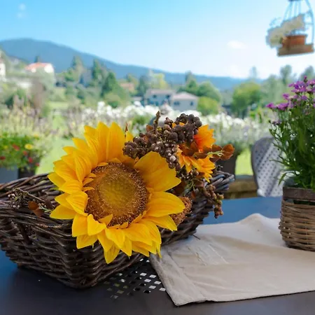 La Provenzale Bed and Breakfast