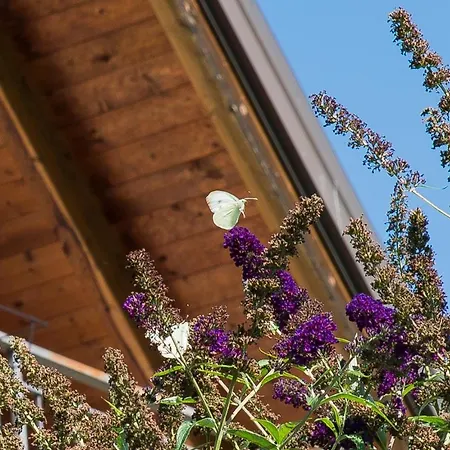 La Provenzale 3* Tornolo