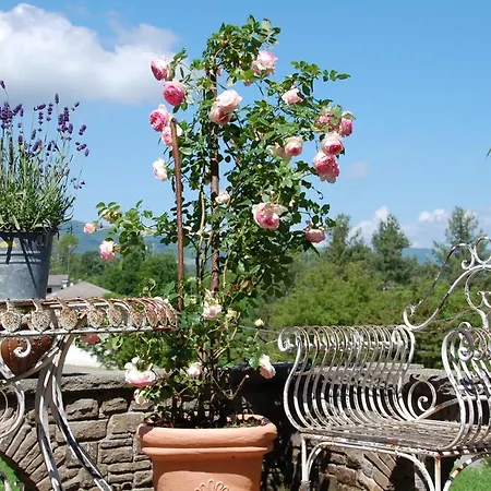 La Provenzale