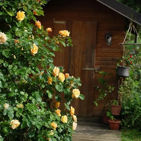 Bed and Breakfast La Provenzale 3*