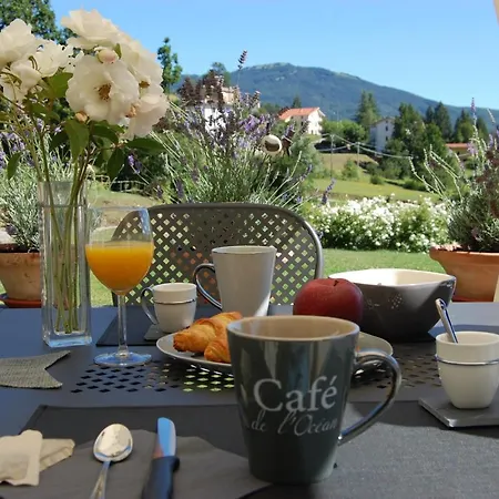 Bed & Breakfast La Provenzale *