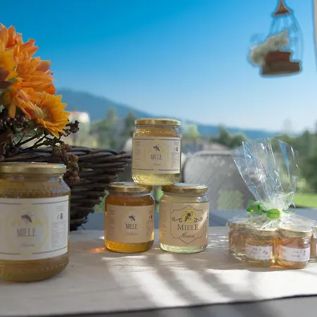Bed & Breakfast La Provenzale Tornolo