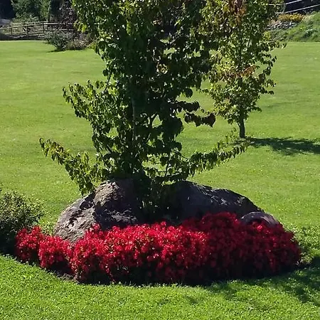 Bed and breakfast La Provenzale