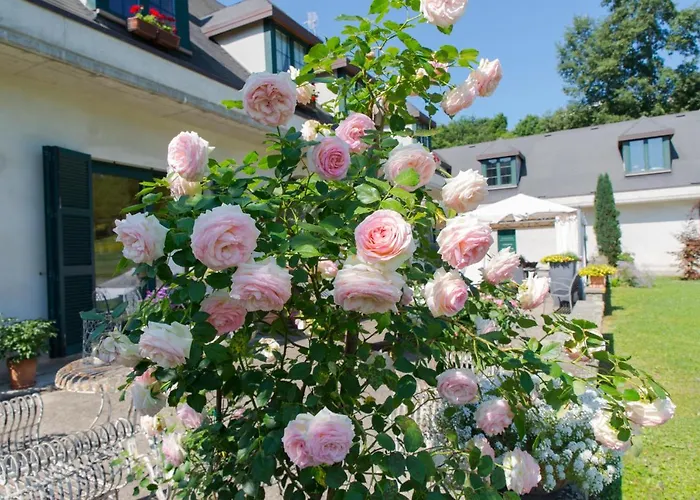 La Provenzale Bed & Breakfast Tornolo