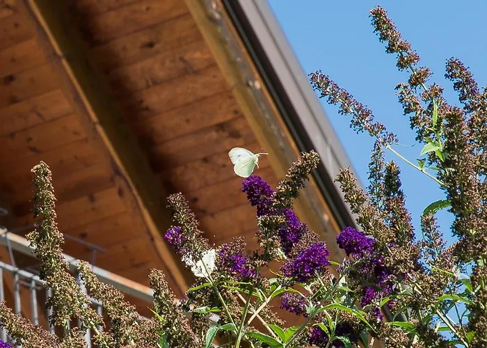 La Provenzale 3* Tornolo