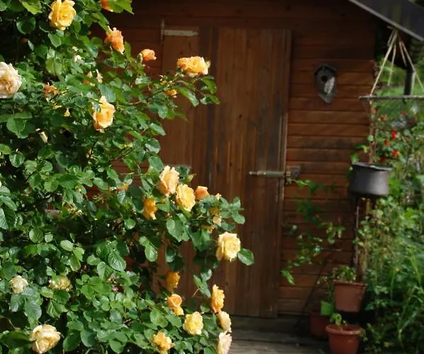 Bed & Breakfast La Provenzale 3*