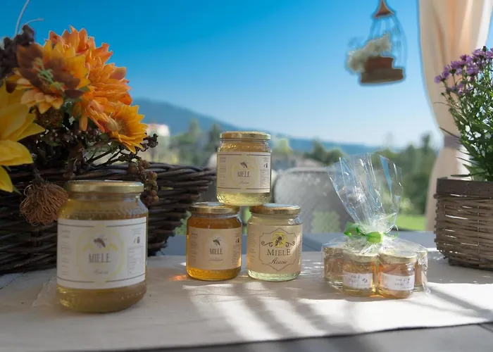 Bed & Breakfast La Provenzale Tornolo