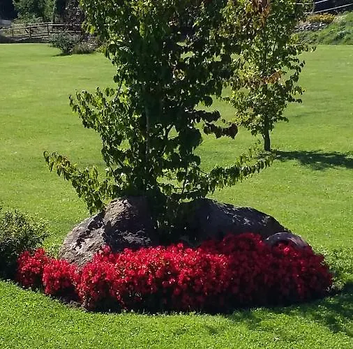 Bed & Breakfast La Provenzale