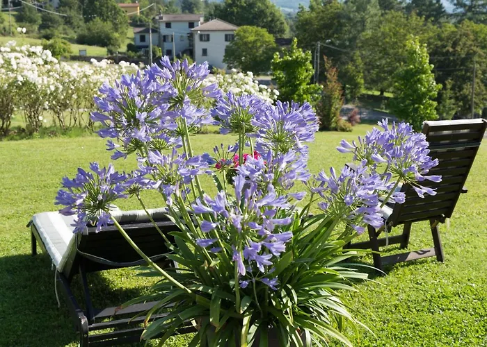 La Provenzale 3* Tornolo